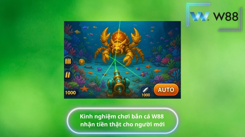 Kinh nghiệm chơi bắn cá W88 nhận tiền thật cho người mới